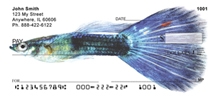 Click on Guppy - Guppies Checks For More Details