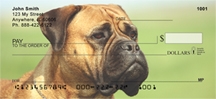 Bullmastiff - Bullmastiff  Personal Checks