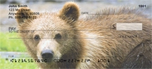 Grizzly Bear Cub - Grizzly Bear Cubs  Personal Checks