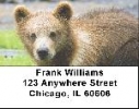 Click on Grizzly Bear Cub Labels - Grizzly Bear Cubs Address Labels For More Details