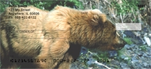 Kodiak Bear - Kodiak Bears  Personal Checks