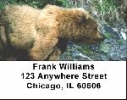 Click on Kodiak Bear Labels - Kodiak Bears Address Labels For More Details