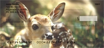Click on Deer - Deer Fawn  Checks For More Details