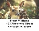 Click on Deer Labels - Deer Fawn Address Labels For More Details