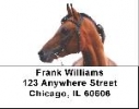 Arabian Horse Address Labels - Arabian Horse Label