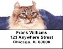Click on American Curl Labels - American Curl Address Labels For More Details