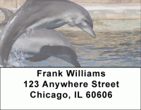 Click on Dolphin Photos Address Labels For More Details