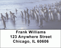 Click on Penguin Address Labels For More Details