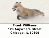 Click on Animal Speed Address Labels For More Details