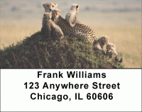 Click on Cheetah Cubs Address Labels For More Details