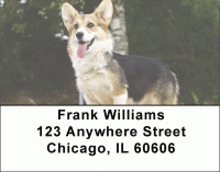 Click on Corgi Dog Address Labels For More Details