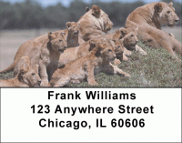 Click on Lions Pride Address Labels For More Details