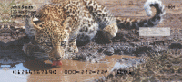 Click on Lone Leopards  Checks For More Details