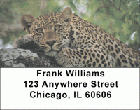 Lone Leopards Address Labels