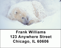 Click on Precious Polar Bear Cubs Address Labels For More Details
