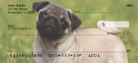 Pug Mugs  Personal Checks