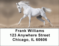 Click on White Stallions Address Labels For More Details