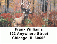 Click on Big Buck Deer Address Labels For More Details