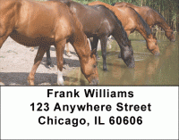 Wild Horses Address Labels