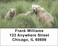 Click on Brown Bear Cubs Address Labels For More Details
