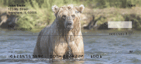 Brown Bears Checks