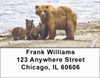 Click on Brown Bears Address Labels For More Details