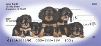 Click on Cavalier King Charles Puppies  Checks For More Details