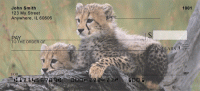 Click on Cheeky Cheetahs  Checks For More Details