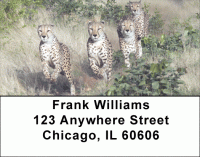 Click on Cheeky Cheetahs Address Labels For More Details