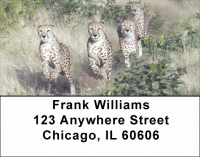 Cheeky Cheetahs Address Labels