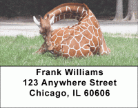 Click on Does My Butt Look Big Address Labels For More Details