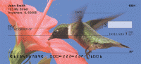 Humingbird Checks
