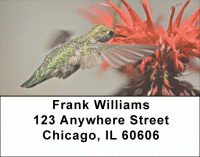Click on Humingbird Address Labels For More Details