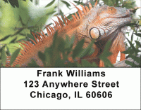 Click on Iguanas Address Labels For More Details