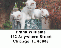 Click on Kittens At Play Address Labels For More Details
