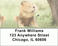 Click on Lions Mane Address Labels For More Details