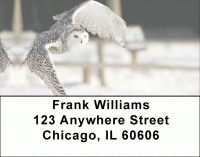 Owl Flight Address Labels