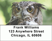 Owls Address Labels