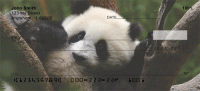 Panda Bear Checks
