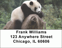 Click on Panda Bear Address Labels For More Details