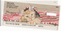 Click on Cute Kittens Side Tear  For More Details