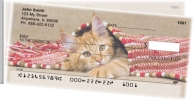 Click on Cute Kittens For More Details