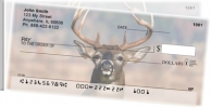 Click on Big Horned Buck Deer For More Details