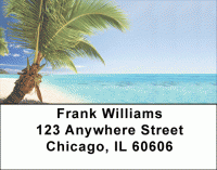 Click on Palms in Paradise Labels For More Details
