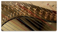 Click on Heavenly Harp Checkbook Cover For More Details