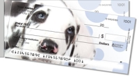 Click on Great Dane Pup Side Tear For More Details