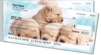 Click on Sleepy Golden Pup For More Details