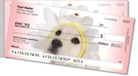Click on Yellow Lab Pup For More Details