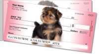 Click on Yorkie Pup Side Tear Checks For More Details