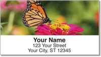 Click on Butterfly Garden Address Labels For More Details